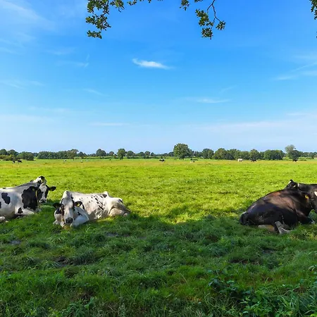 Apartment Zur Kuhweide Dunum