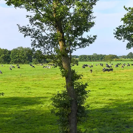 Apartment Zur Kuhweide *