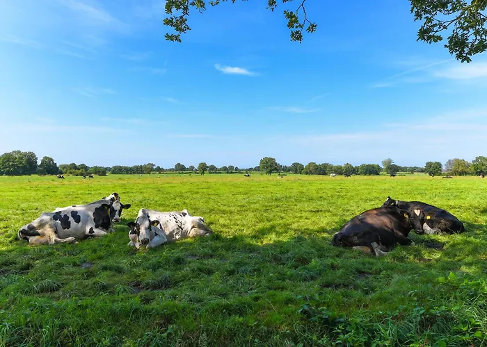Apartmán Zur Kuhweide Dunum